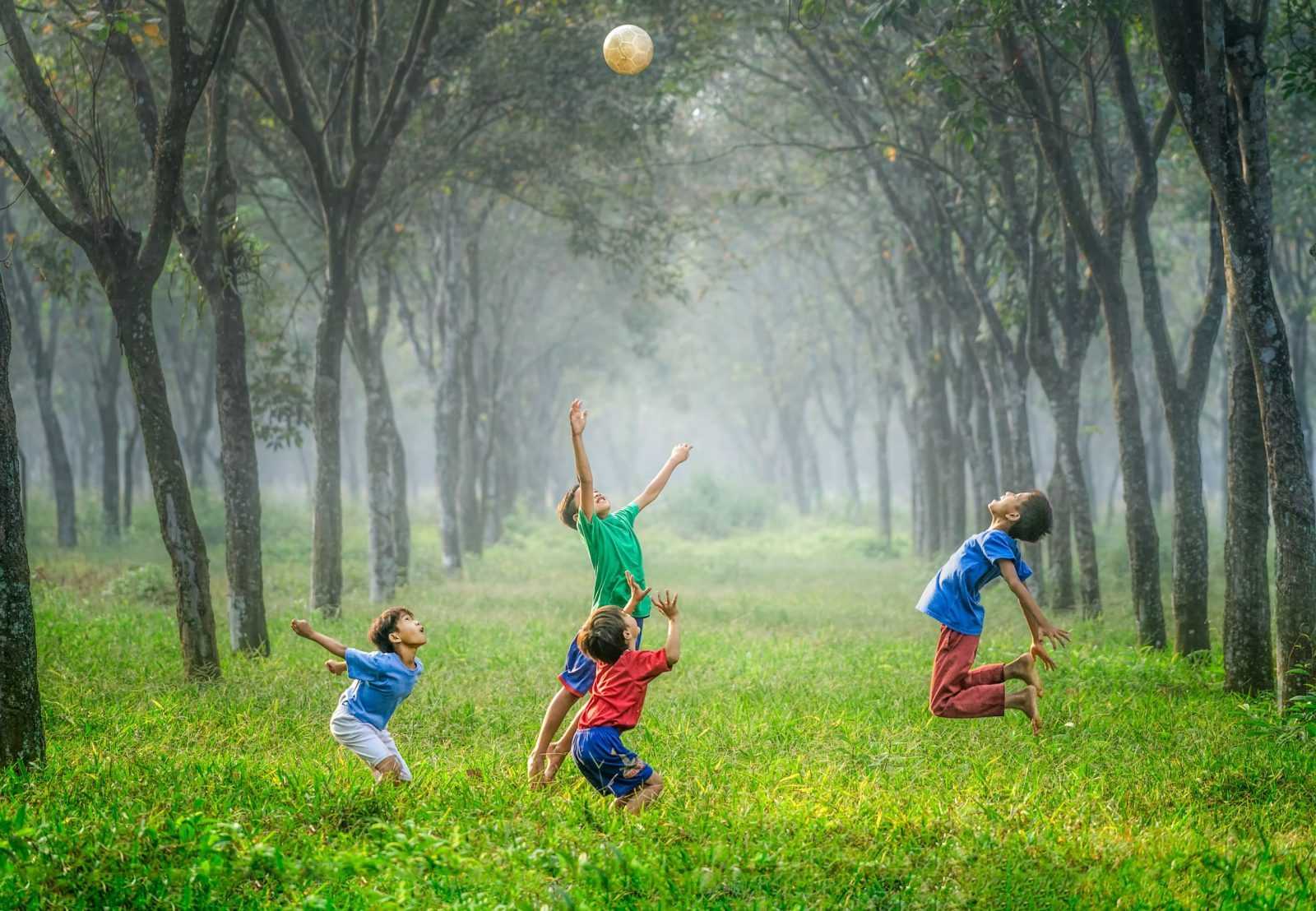 Read more about the article משחקי הבעה רגשית